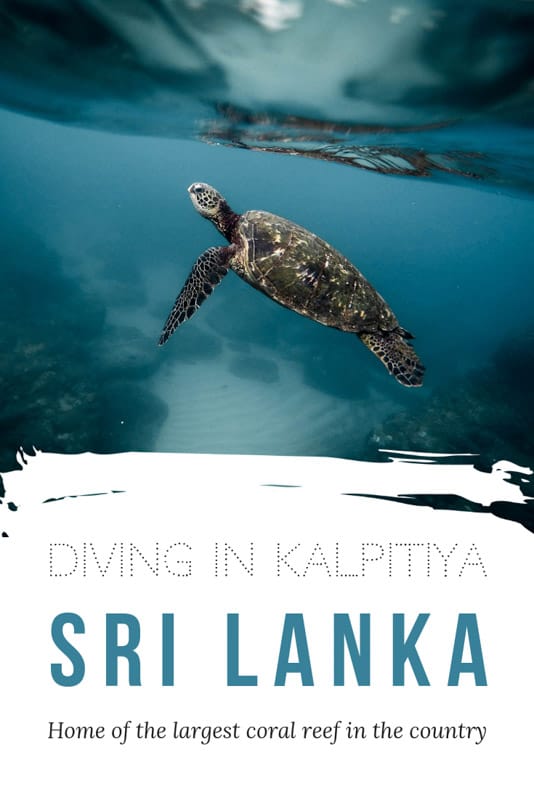 pinterest image with caption 'diving in kalpitiya- sri lanka'