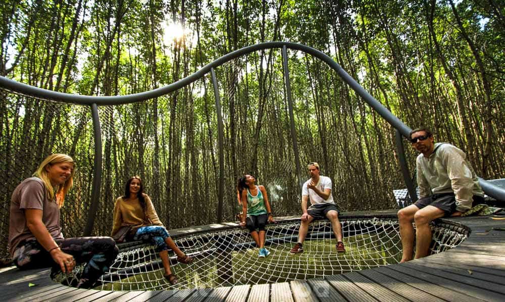 mangrove reserve pranburi