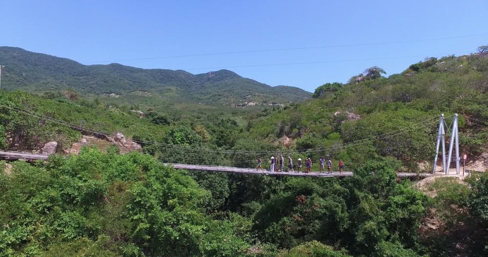 Sky bridge through the trees in Phan Rang Vietnam