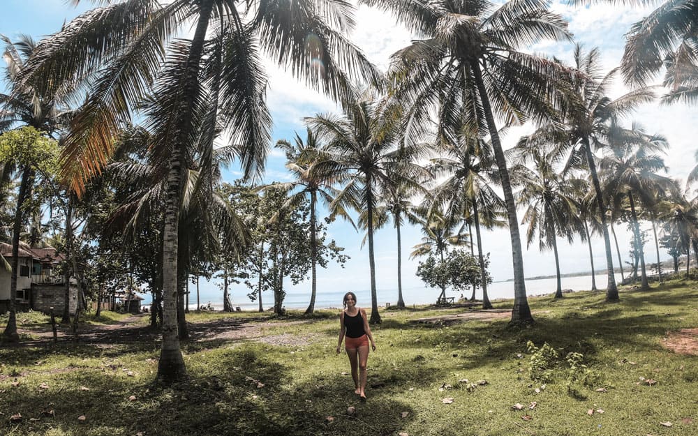 Passeggiando tra le palme a Medewi, Bali