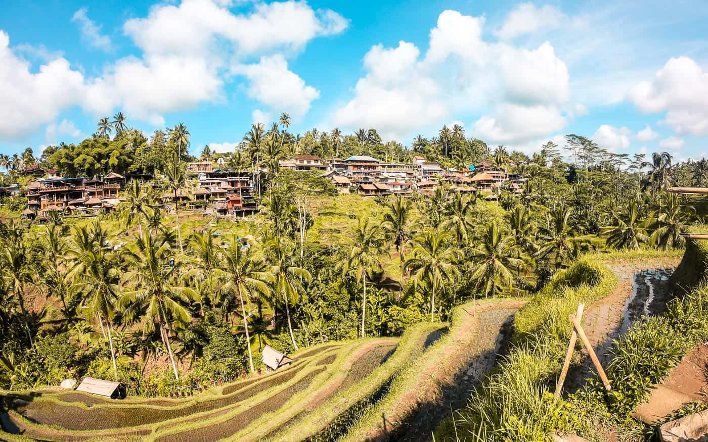 tegalalang rice terrace ubud bali