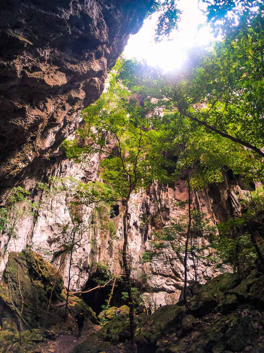 Bäume, die in der Phraya-Nakhon-Höhle in den Himmel schießen