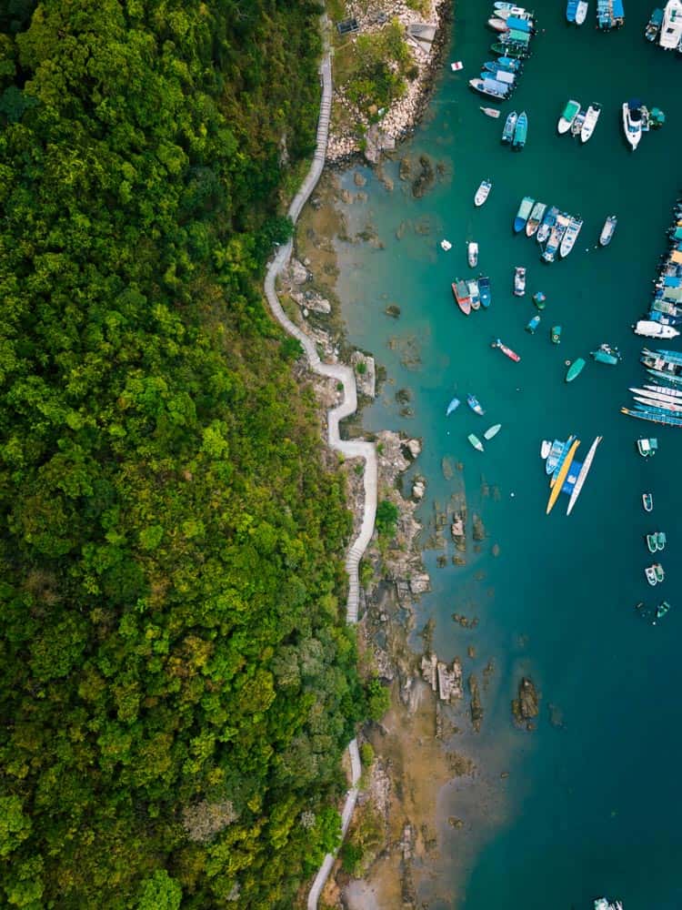 Prise de vue par drone du littoral et de la forêt de Hong Kong