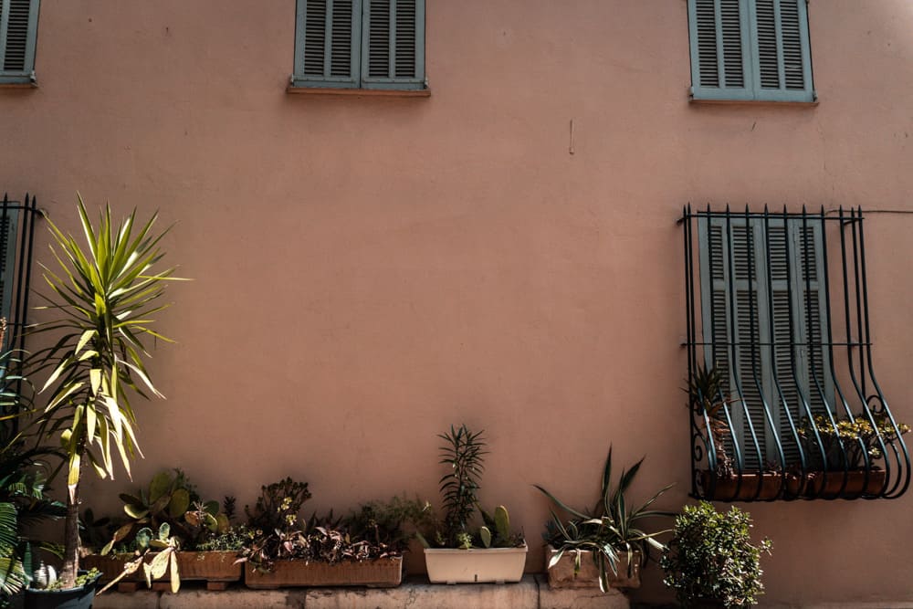 beautiful terracotta wall and cacti in window boxes in Cannes' Old Town