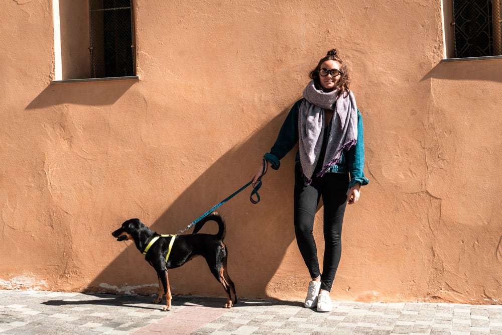 vrouw met zonnebril en aangelijnde hond voor terracotta muur in oude stad antibes, frankrijk