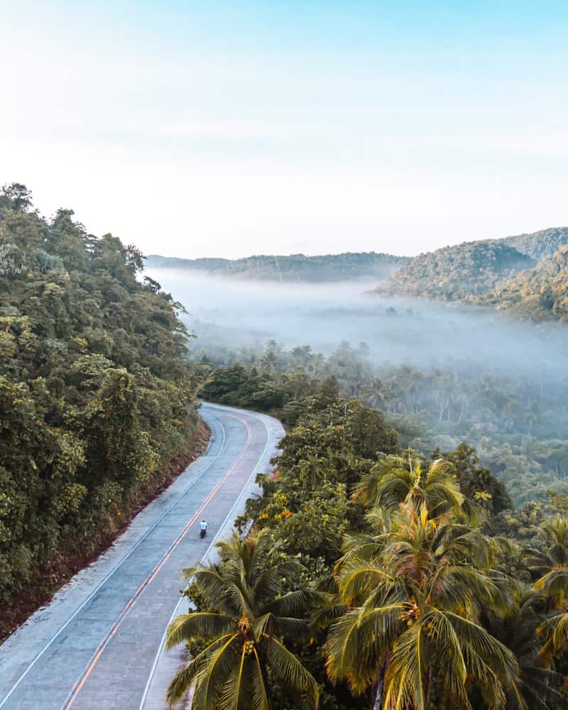 mistig landschap op siargao eiland, met een kronkelige weg die een dicht palmbos doorsnijdt