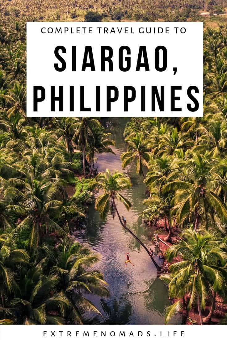 pinterest image with a picture of a thick grove of palm trees and a caption that reads: complete travel guide to siargao, philippines