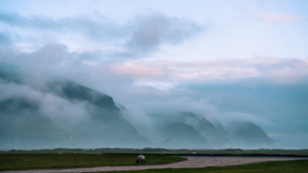 The misty mountains and grazing pastures of Achill island, county mayo, ireland. Sheep are grazing on the grass in the foreground while clouds cover the hills beyond.