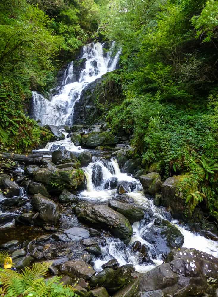 Torc waterfall gushing through lush greenery, Killarney, Ireland