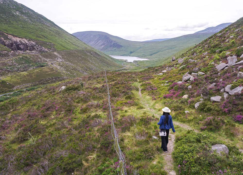 Dame mit Hut und Jeansjacke spaziert durch die mit Heidekraut bewachsenen Hügel der Mourne Mountains