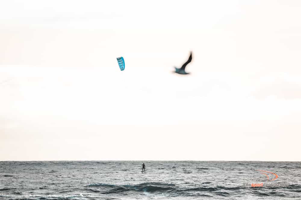 een zachtroze lucht hangt over de kitesurfplek, waar een enkele kitesurfer op een foilboard op het water rijdt. een meeuw vliegt langs de opname en lijkt onscherp op de voorgrond.