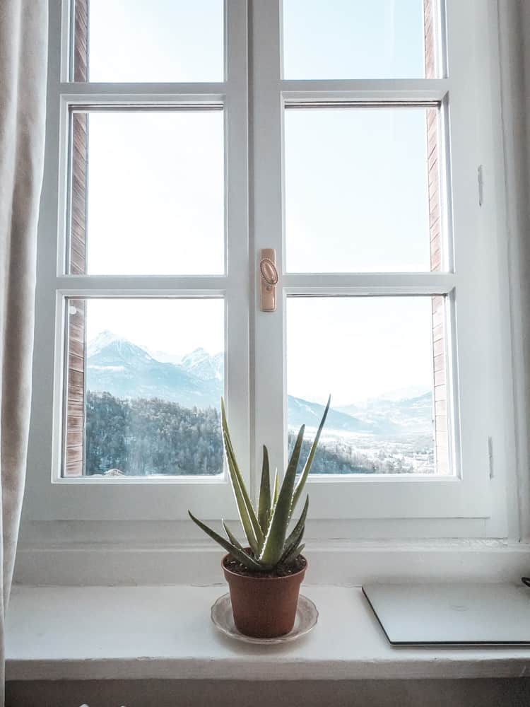 aloe vera pflanze auf der fensterbank des wohnzimmers der cloud citadel mit blick auf die französischen alpen