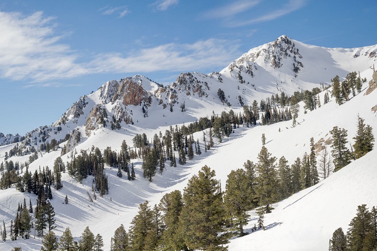 Combien coûte le snowboard ?