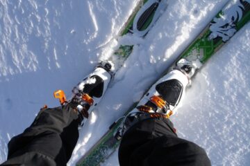 alpine bindings