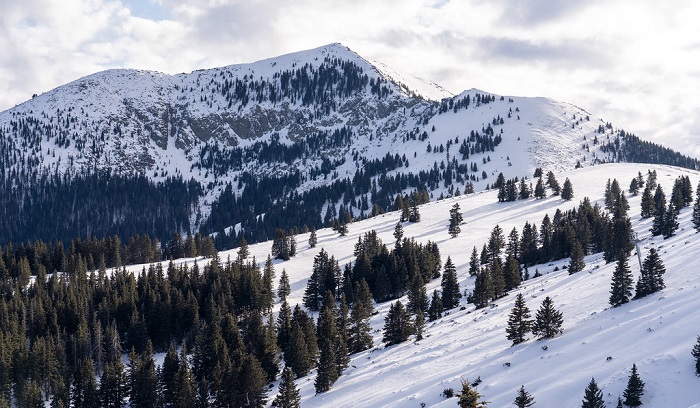 best skiing in new mexico