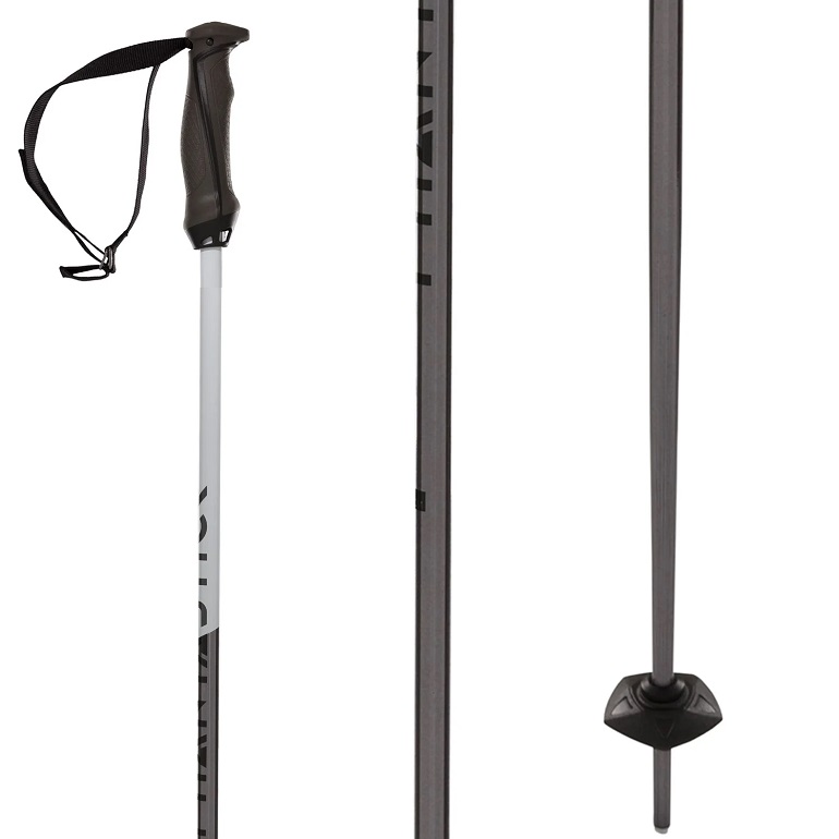 best ski poles 2022