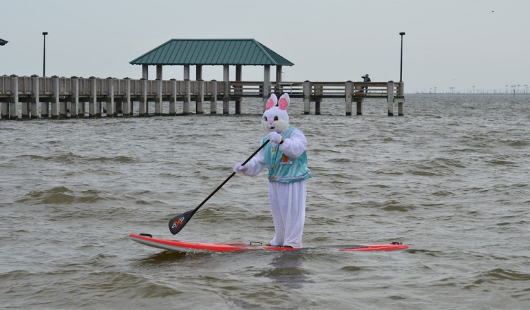 paddle boards near me