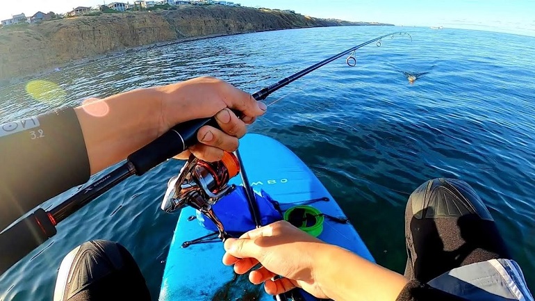 verbrandt paddle boarding calorieën