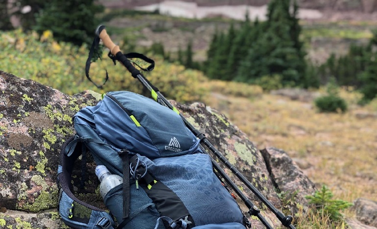 snowshoeing poles