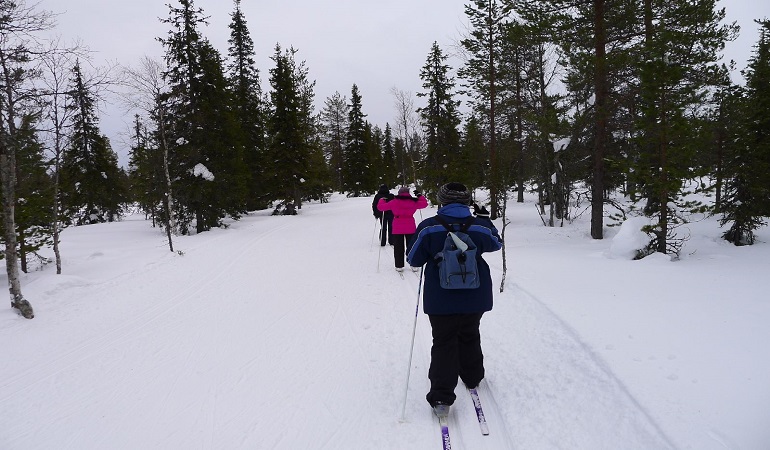 Le ski de fond classique et le ski de patin