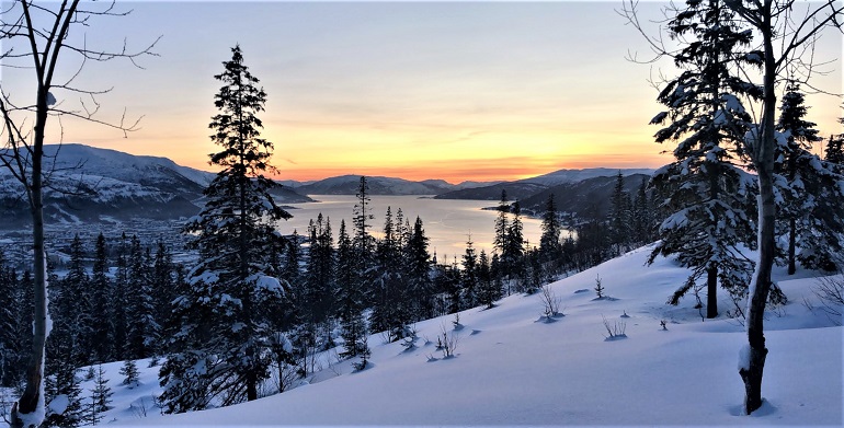 plaatsen om te skiën in californië