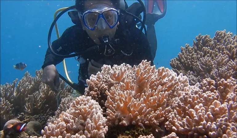 snorkelmaskers