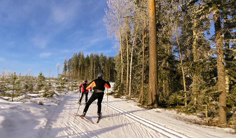 klassisch vs. skate skis