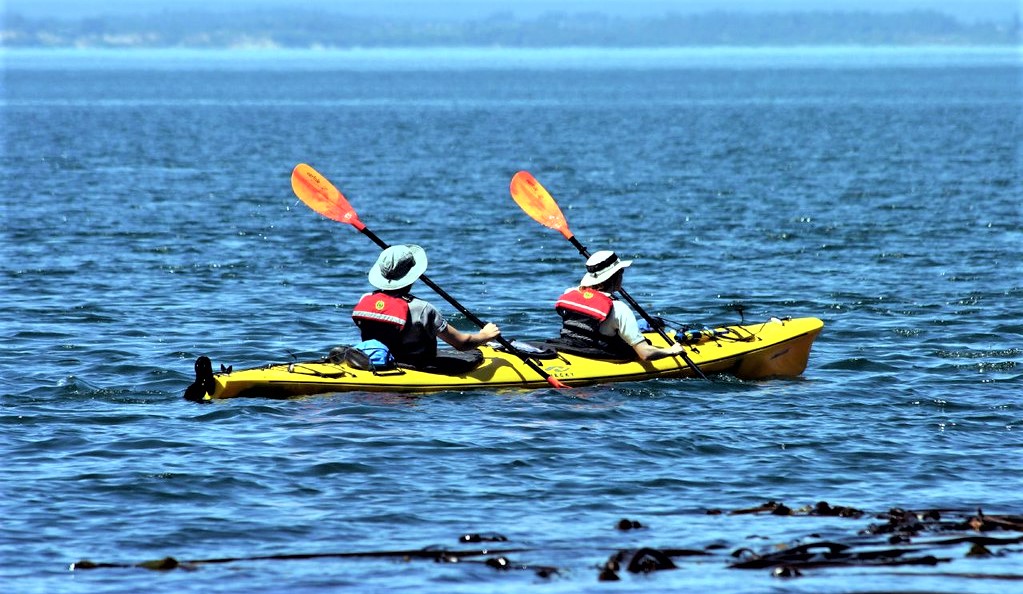 comment faire du kayak pour les débutants