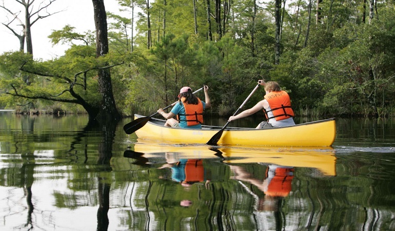 long kayak paddle