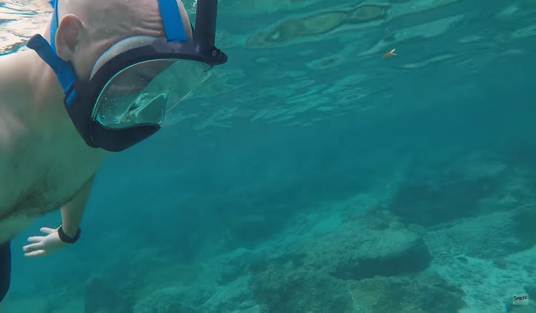 best snorkeling mask