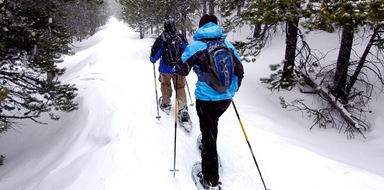 what shoes to wear snowshoeing