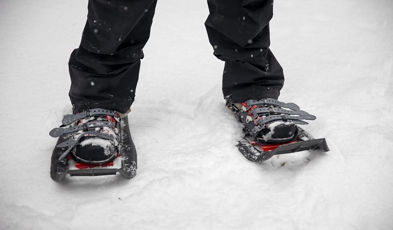 snow shoe boots