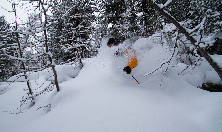 wie man Ski fährt