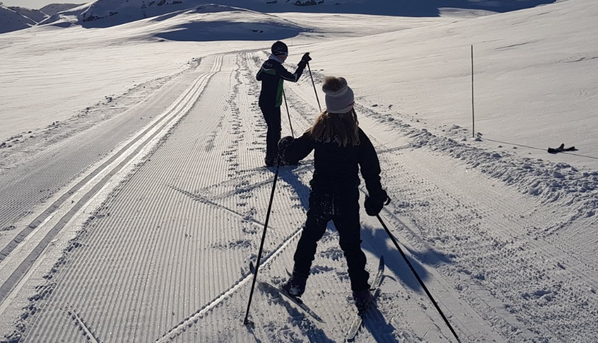 meilleurs skis à double spatule