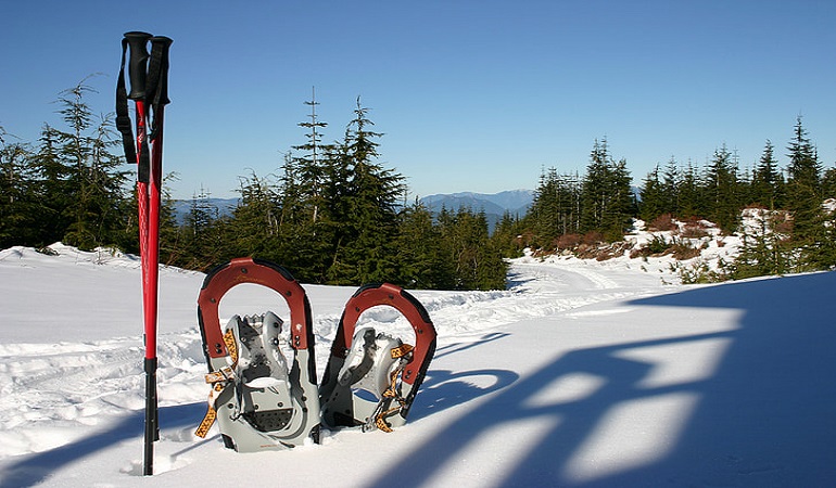 raquette à neige