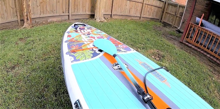 bote board review