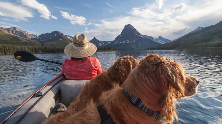 Kajakfahren mit Ihrem Hund