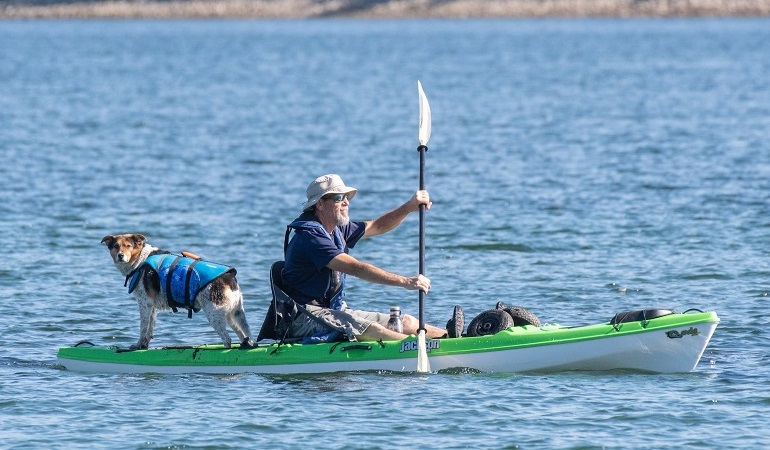 chiens et kayaks