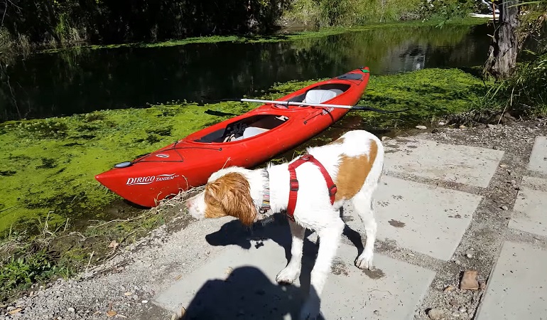 tandem kayak lightweight