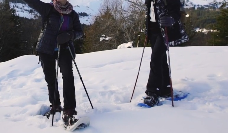 raquettes à neige backcountry