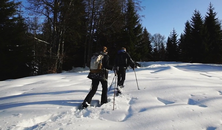 raquette à neige