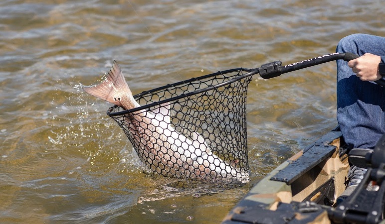 filet de pêche en kayak