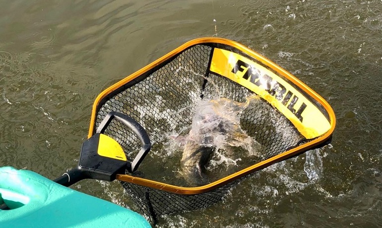 kayaking net