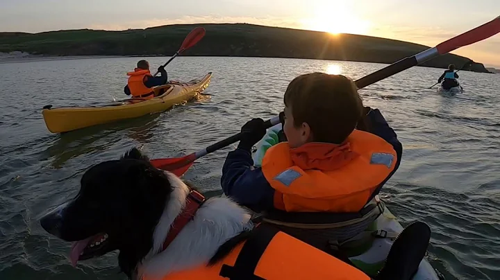 dog on kayak