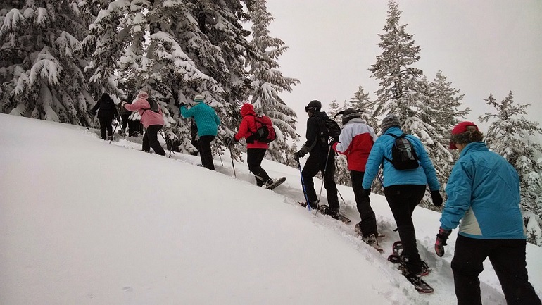 types of snowshoes