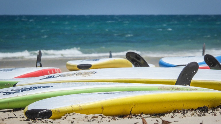 paddle boards and surfboards