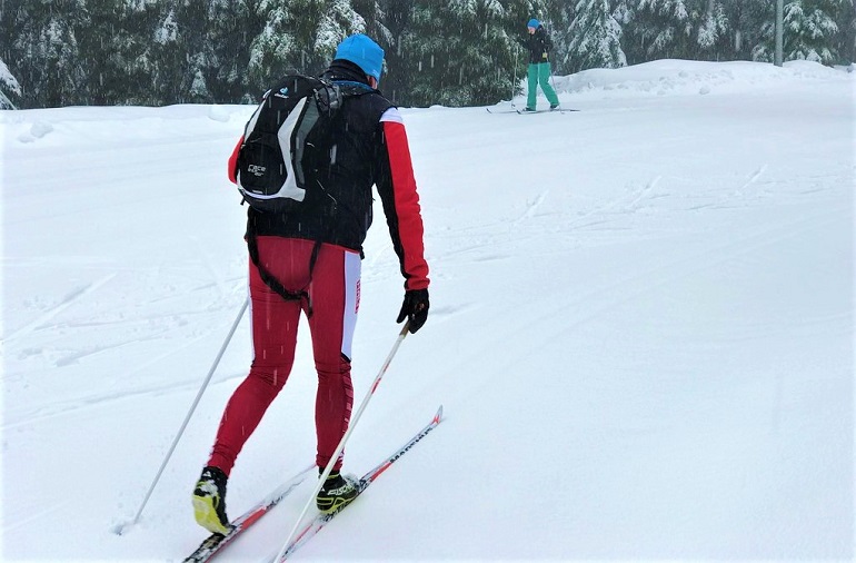 nordic skischoenen