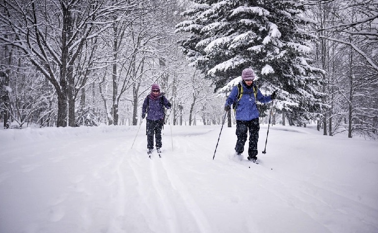 ski de fond nordique