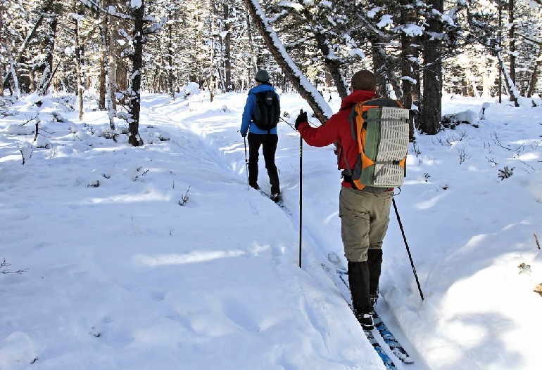 skis de fond contre ski alpin