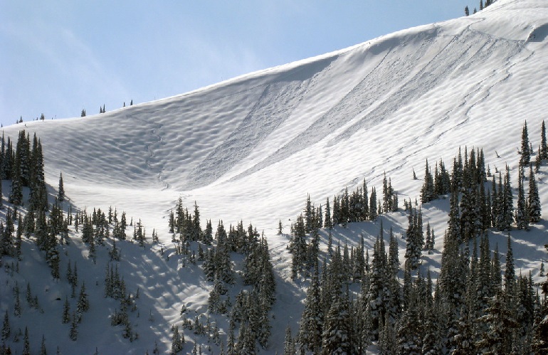 ski bowl shap